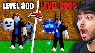 Noob To Max But Every 100 Levels I Have To Roll A Fruit Blox Fruits #8