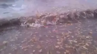 Осеннее озеро.