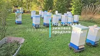 Пасека 12 сентября  Подготовка к зимовке продолжается