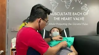 EXAMINATION OF THE CARDIOVASCULAR SYSTEM