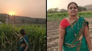 Village Morning Routine🤩  Village Life Vlog ❤ Cow Milking | Cow milking by Hand | Desi Village life😍