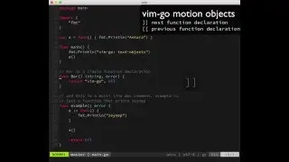 vim-go: text motion objects