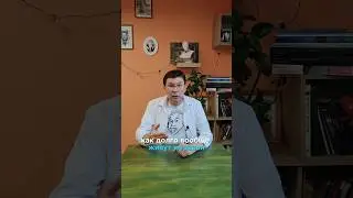 Как долго живут муравьи? Неделю или может быть 10 лет? #ученаякомпания