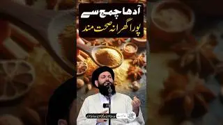 Adha Chamach Aur Pora Gharana Sehatmand #shorts