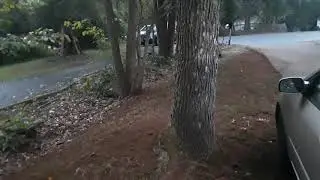 Front yard overseed & clean-up - Part 6