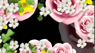 футажи для видеомонтажа