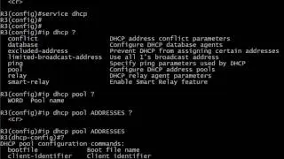 242 DHCP At The Command Line