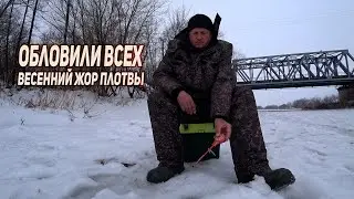 Плотва  На Безмотылку Вот это попали на жор