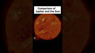 A comparison of the Earth, the Moon, Jupiter, and the Sun. #earth #space #jupiter #moon #solarsystem