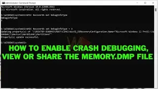 How to Enable Crash Debugging, View and Share Memory DUMP File in Windows 10 and Windows 11