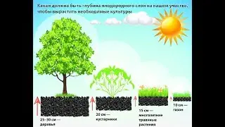 Природное Земледелие - Многолетние растения. Часть 1 / Виктор Максименков