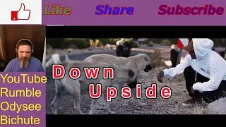 Shahmen Down Upside Reaction