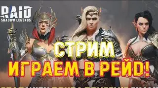 🔴 Raid SL!  Проходим весь рейд!