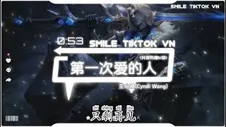王心凌 - 第一次爱的人 (抖音热播DJ版) Người Yêu Đầu Tiên (Remix)『灰色的天，你的脸，爱过也哭过笑过痛过之后，只剩再见，我的眼泪』【抖音火流行歌曲推荐TikTok】