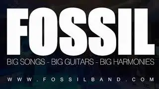 'Hotel California' cover performed by Fossil