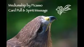 Mediumship by Picasso | Card Pull & Spirit Message          12:19:24