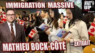 Immigration MASSIVE / Mathieu Bock-Côté / What's Up Podcast (Extrait)