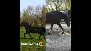 Voor het EERST de wei op!!!