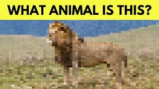Can You Guess The Animal From The Pixelated/Matrix Images? + Superhuman Level | Fun Eye Puzzle!