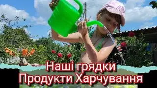 Продукти Харчування//Починаємо Підготовку до Школи//Наші Грядки