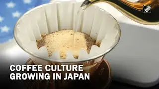 Coffee culture growing in Japan
