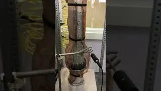 Fluidized Bed Reactor