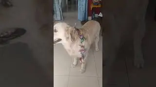 Ispe Pyar Nhi To Or Kya Aayega 🥰🥰🥰🥰🥰