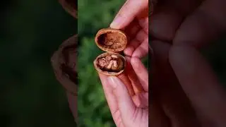 Cutest Video  You'll watch Today.