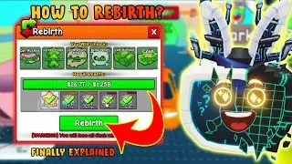 How to Rebirth in Roblox Park a Car - Stage Requirement Explained Rebirth Guide Stages, Levels, Tips