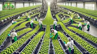 How MILLIONS of Green Apples are Harvested and Processed | Green Apples Juice Production