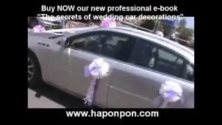 Wedding car decorations
