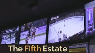 Sports betting in Canada: Are we making a bad gamble? - The Fifth Estate