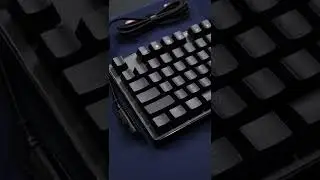 Best Budget Keyboard Under $50... Phantom Keyboard Review/Sound Test