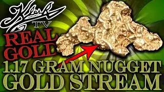 🔴 GOLD STREAM #232 - 1.17 GRAM GOLD NUGGET! FUN INCLUDED!