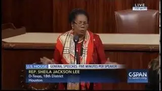 Sheila Jackson Lee Decries Automatic Weapons Ownership in Speech on Gun Violence
