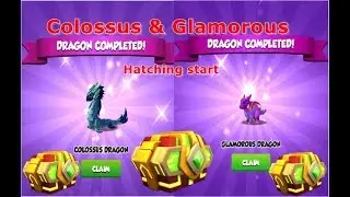 Colossus and Glamorous Dragons-Dragon Mania legends | NEW CHRONO DIVINE EVENT | DML | HD