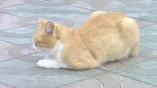 Цей 2018. Серия 7