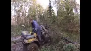 Черное 2013