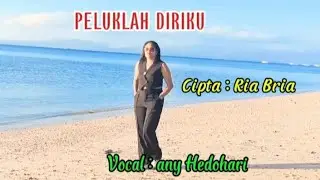 Any Hedohari ||PELUKLAH DIRIKU #cipta : Ria Bria ( Official Video Musik )