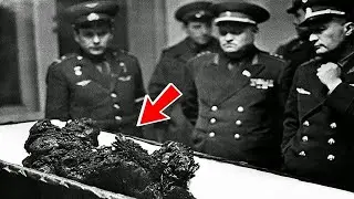 The Astronaut Who Fell From Space