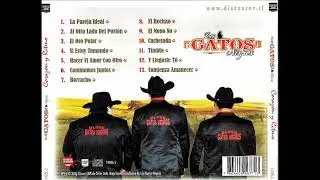 Los Gatos Negros ( Corazon Ritmo ) 2011 .-