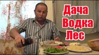 Дача. Водка. Лес. Снимаем стресс...
