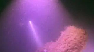 Ancla del naufragio Vesterlide