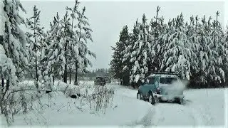 Стандарт не сдался. Продолжили маршрут, но заплутали в лесу. Шеви Нивы, УАЗы, Pajero, KIA Sportage