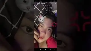 despita live tiktok 