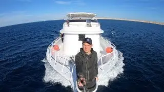 Sharm el Shaikh+Moscov
