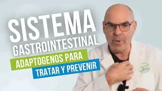 SISTEMA GASTROINTESTINAL: Afectaciones y Tratamientos Integrales