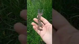 Артефакт на поверхности! Что это такое? Металлоискатель 2022!
