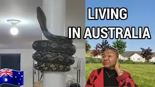 Everyday Life in Australia?/ I am Stuck in the UK