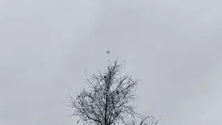 Mavic 3 Waypoint continue after disconnect RC